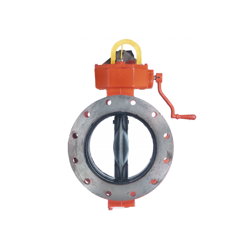 public://uploads/media/dn80-3in-dn600-2in_indicating_butterfly_valve_ibv.png